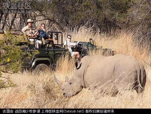 Người dẫn đường du lịch Chắc hẳn nhiều người sẽ ngạc nhiên: “Nghề này thì có gì nguy hiểm?” Khác với nghề hướng dẫn viên du lịch thông thường, bạn sẽ phải đi tới những vùng xa xôi, hoang sơ, đối mặt với đủ loại sinh vật hoang dã vô cùng nguy hiểm. Thật dễ hiểu khi mức lương của nghề này khá cao: 70.000 USD/năm.