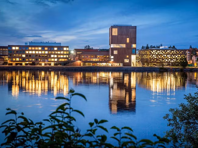 Bảo tàng Bildmuseet: Bảo tàng nghệ thuật và thiết kế đương đại ở thành phố Umeå của Thụy Điển. Bảo tàng này được coi là một trong những phòng trưng bày nghệ thuật của trường đại học đẹp nhất thế giới sau khi được thiết kế lại vào năm 2012. Bản thân tòa nhà cũng là một tác phẩm nghệ thuật ấn tượng, với một mặt tiền là những tấm ván gỗ bằng gỗ Siberia, đã biến thành màu xám bạc do thời gian, với những khung cửa sổ được sắp đặt một cách ngẫu nhiên. Nội thất sơn màu trắng thường xuyên được làm ấm bởi ánh sáng tự nhiên xuyên qua các cửa sổ.