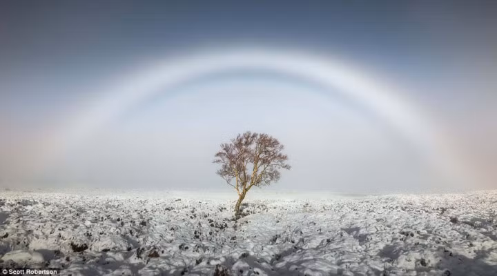 Bức ảnh “cầu vồng sương” của nhiếp ảnh gia người Anh Scott Robertson chụp tại Rannoch Moor ở Scotland.