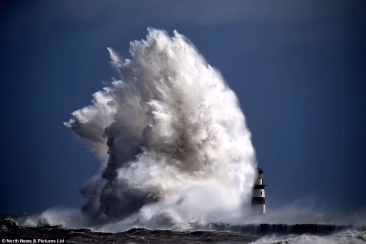 Tác phẩm “con quái vật” của tác giả Paul Kingston chụp tại Ngọn hải đăng Seaham trên bờ biển Durham, phía đông bắc nước Anh.