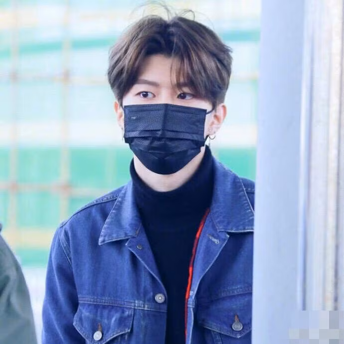 Ngoại hình của Phạm Thừa Thừa cũng được cho là một mình chứng về "gene đẹp" của gia đình họ Phạm, gián tiếp đập tan tin đồn Phạm Băng Băng từng phẫu thuật thẩm mỹ. Mặc dù đeo khẩu trang nhưng với mái tóc bồng bềnh, nước da trắng và dáng người cao, em trai Phạm Băng Băng được nhận xét vẻ đẹp không kém tài tử Hàn Quốc.