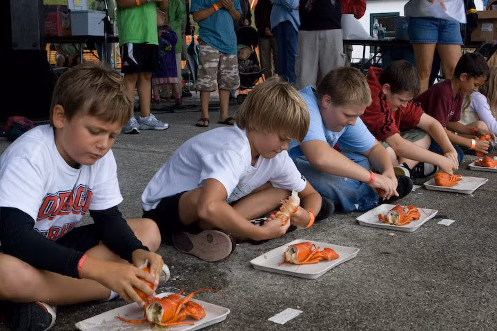 Lễ hội tôm hùm Maine do chủ yếu các tình nguyện viên điều hành. Hơn 1.100 tình nguyện viên trong và ngoài địa phương đóng góp công sức cho lễ hội từ năm này qua năm khác. Người dân Maine và du khách có nguyện vọng giúp đỡ ban tổ chức lễ hội cũng rất được chào đón.