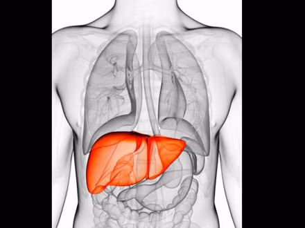 Nếu ngáp quá nhiều trong một khoảng thời gian ngắn, trong khi bạn không cảm thấy mệt mỏi, thì tốt hơn hết là bạn nên đi kiểm tra gan bởi vì gan có vấn đề cũng có thể dẫn đến ngáp nhiều.