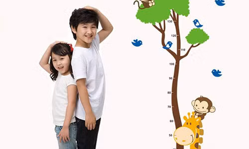 Bắt đầu từ 10 tuổi, chiều cao của trẻ bắt đầu tăng mạnh và có thể đạt đỉnh 15cm/năm