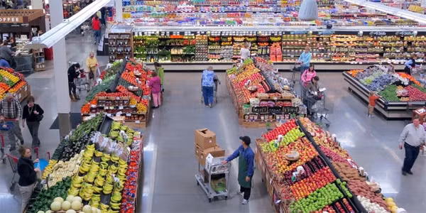 Reusethisbag.com đã khảo sát hơn 100 cửa hàng tạp hoá lớn nhỏ ở 10 tiểu bang nước Mỹ và ủy nhiệm cho EMLab P&amp;K bang Ohio để kiểm tra vi khuẩn. Kết quả cho thấy, một lượng lớn vi khuẩn có hại hiện diện khắp nơi trong cửa hàng tạp hóa. Những vi khuẩn có hại nhất thì bám trên bề mặt các giỏ hàng.