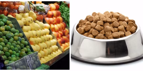 6. Sản phẩm ở cửa hàng thực phẩm cao cấp có số vi khuẩn cao gấp 11 lần so với đáy bát thức ăn cho chó Đáng ngạc nhiên là sản phẩm tại các cửa hàng thực phẩm cao cấp có số vi khuẩn cao gấp 30 lần so với số lượng một tập đoàn vi khuẩn thông thường, có thể do việc tiết chế sử dụng thuốc trừ sâu trong trái cây và rau hữu cơ.