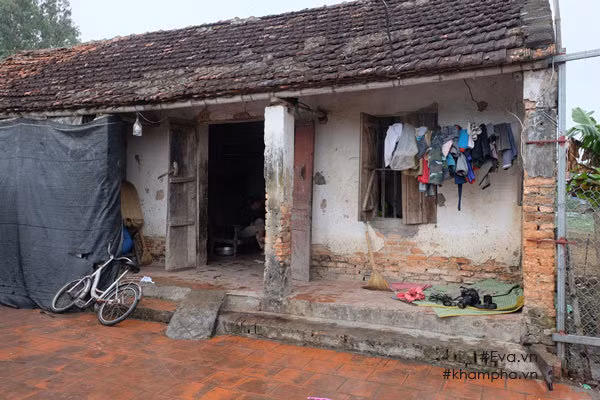 Vo mat khi mang thai, "ga trong" Hung Yen gong minh nuoi 8 con tho-Hinh-4