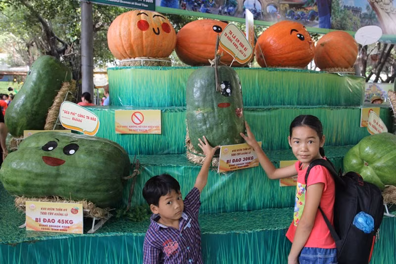 Bí đao khổng lồ với đủ cân nặng 20-45kg.