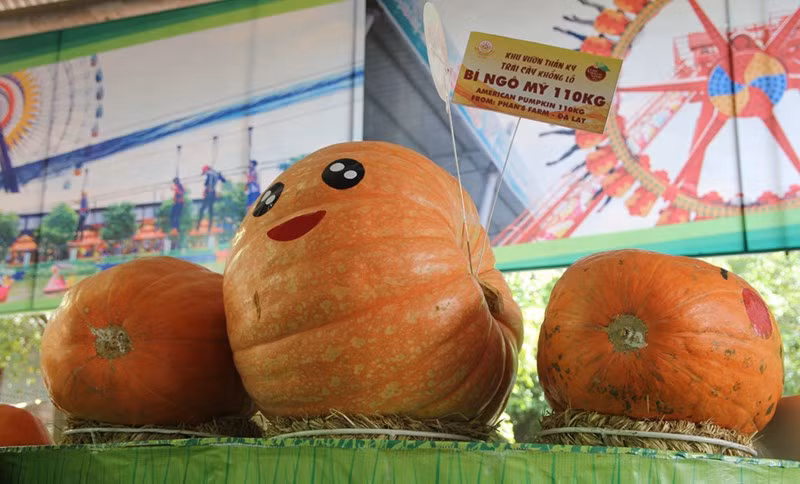 Bí ngô Mỹ 110kg.