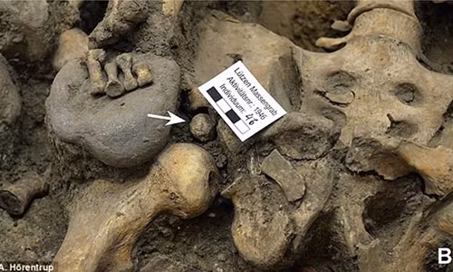 Phat hien gay chan dong tu ngoi mo chien binh the ky 17