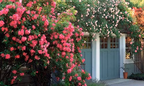 Bo me chong de nghi con dau ban nha rieng truoc ngay cu hanh hon le