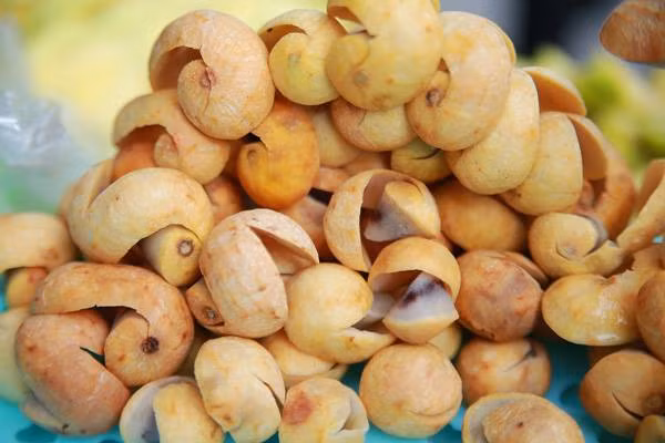 Mùa thu cũng là thời điểm những trái sấu chín được bày bán khắp nẻo đường Hà Nội. Cuối tháng 9, đầu tháng 10 là thời điểm sấu chín rộ nhất . Sấu chín mùa thu quả căng tròn mập mạp mọng nước. Sấu có hương thơm, vẫn còn dôn dốt nhưng vị ngọt đã nhiều hơn chua.