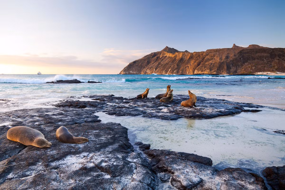 Ecuador Những kỳ quan thiên nhiên của Ecuador trải dài từ núi, rừng tới các hòn đảo núi lửa. Công viên quốc gia Sangay có hệ sinh thái đặc hữu, với núi lửa, đồng cỏ, đầm lầy và rừng mây. Hồ núi lửa Laguna Quilotoa thu hút du khách nhờ vẻ đẹp kỳ bí và màu nước xanh ngọc. Tất nhiên, không thể không kể tới quần đảo Galapagos nổi tiếng với những động vật độc đáo như rùa khổng lồ, kỳ giông nước mặn... Ảnh: Guidetrip.