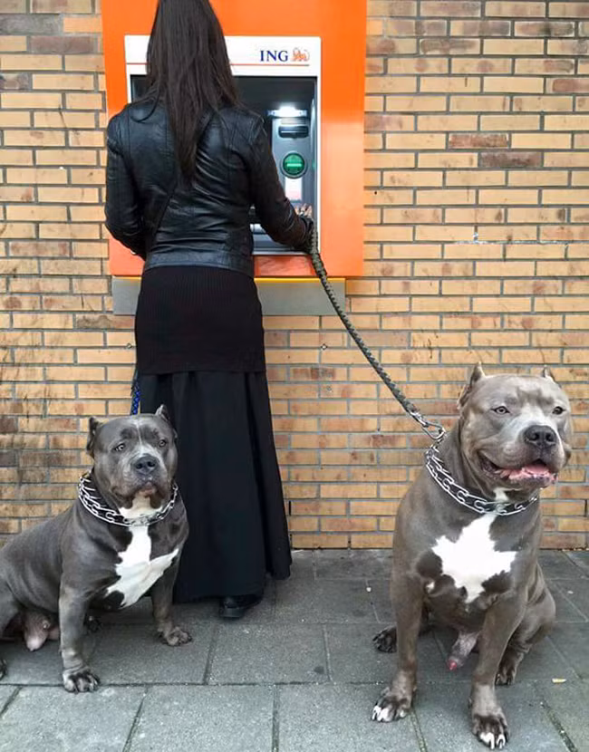 Mày canh chừng bên kia... còn tao để ý bên này.