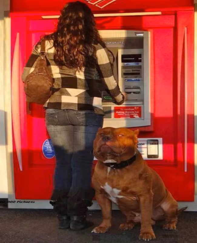 Không dễ ăn đâu nha, biết điều thì tránh xa ra.