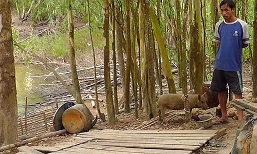 Nguoi chong tu sat truoc mo vo vua qua doi o mien Tay