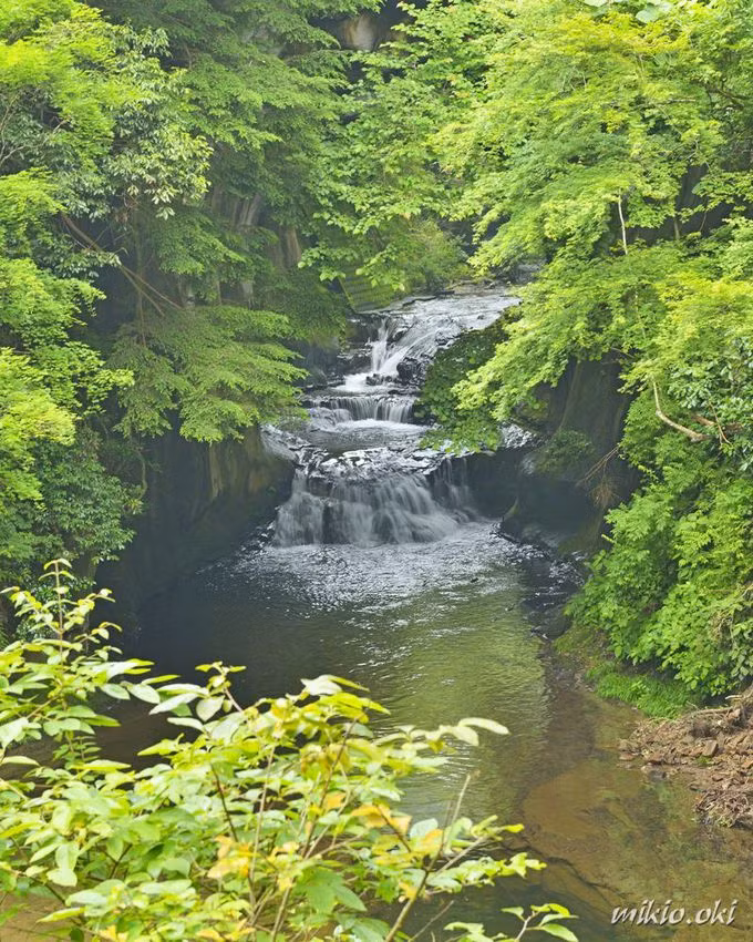 Ấn tượng đầu tiên khi du khách đặt chân đến đây chính là phong cảnh thiên nhiên hoang sơ, tĩnh lặng, đường bước vào khám phá khe suối này thoạt trông khá giống một đường hầm với bốn bên là những vách đá sừng sững với những tán cây cổ thụ bao phủ.
