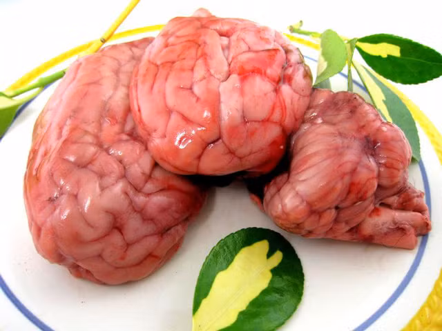 10 món ăn “kinh dị” nhưng cực tốt cho sức khỏe - Hình 6 10 mon an “kinh di” nhung cuc tot cho suc khoe-Hinh-6