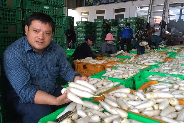 Khu vuon 360 ty dong cua "dai gia" cu cai Lam Dong