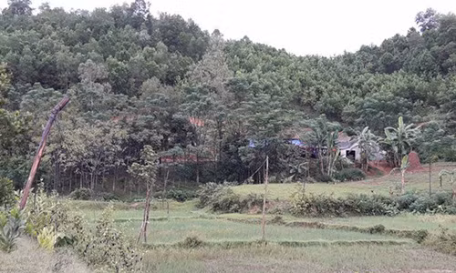 Hai bo con o Nghe An bi set danh tu vong ngay tren giuong