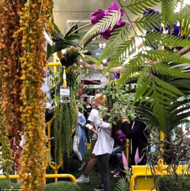 Khi đi trên chiếc xe bus đầy hoa và cỏ cây, du khách có cảm giác như lạc vào một khu rừng.