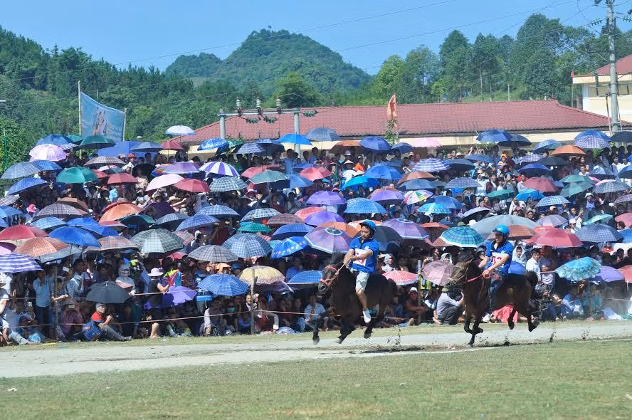 Hang nghin nguoi doi nang nong xem dua ngua o Bac Ha