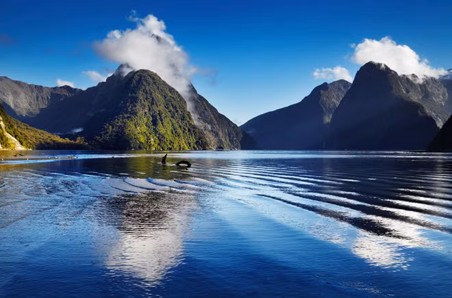 9- New Zealand New Zealand là một quốc gia cô lập nhưng vẫn phát triển khác. Đất nước này có nền dân chủ ổn định và không có lịch sử xung đột chiến tranh đẫm máu. Chính sách đối ngoại thân thiện của New Zealand đã đạt vị trí thứ tư trong bảng xếp hạng Chỉ số Hòa bình Toàn cầu. Giống như Tuvalu, quốc gia này cũng có khả năng tự cung tự cấp trong một khoảng thời gian ngắn. New Zealand có đất đai màu mỡ và nguồn nước sạch giúp nơi đây tự sản xuất lương thực thực phẩm cho mình. Hơn nữa, địa hình núi cao sẽ cung cấp chỗ trú ẩn nếu chẳng may đất nước rơi vào bờ vực bị xâm lược. Nhưng nhiều khả năng quốc gia này sẽ được để yên, không liên quan gì tới thế giới bên ngoài đang chìm trong chiến tranh.