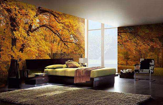 Được ngủ trong căn phòng đẹp như thế này thì thật tuyệt biết mấy. Khi chọn giấy dán tường thiên nhiên cầu kỳ như trong ảnh, gia chủ nên thiết kế nội thất đơn giản để căn phòng không bị lộn xộn và rối mắt.