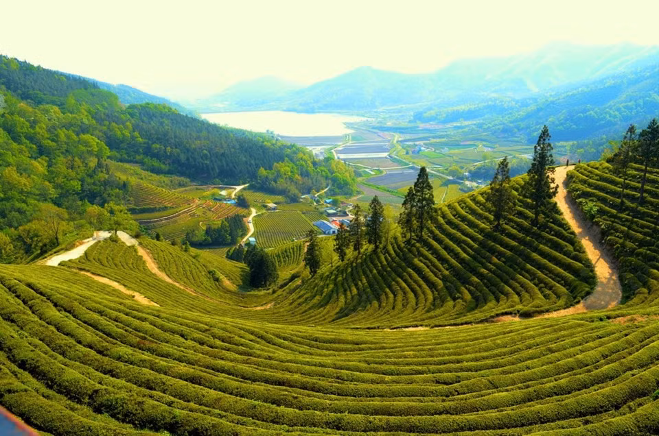 14 noi khong di thi phi ca chuyen tham quan Han Quoc