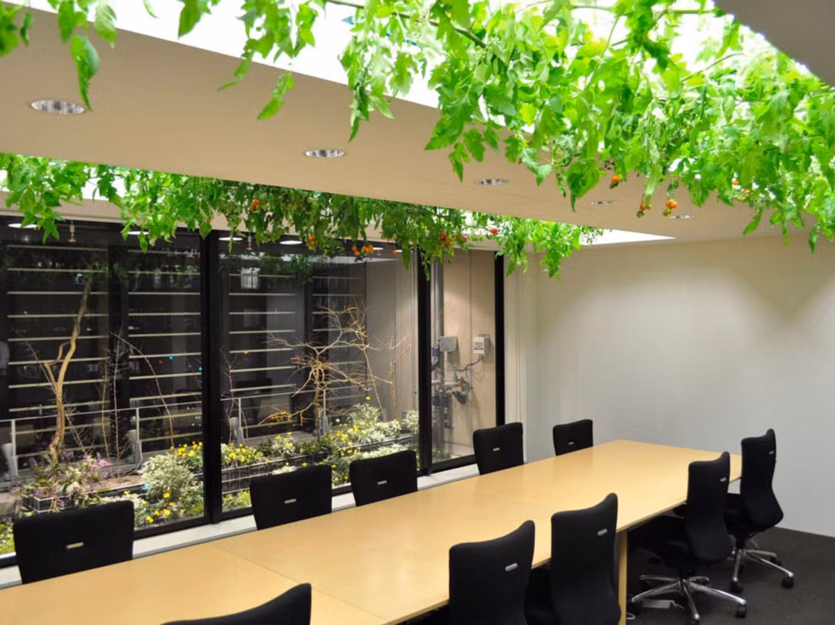 Các chuyên gia nông nghiệp sẽ hướng dẫn cho nhân viên biết cách trồng cây để tạo ra thực phẩm. Những người đứng đầu Pasona đã khuyến khích nhân viên tự giác chăm sóc cây nhằm tạo ra môi trường làm việc có hiệu quả cũng như cung cấp thực phẩm sạch đảm bảo cho sức khỏe của mình.