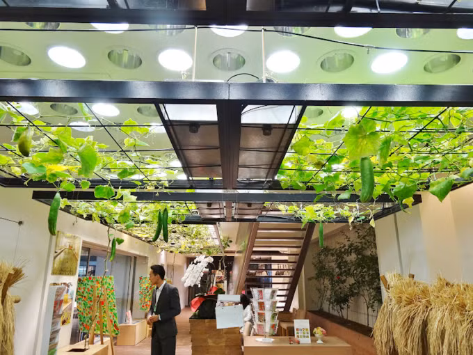 Một góc trưng bày sản phẩm của công ty được bày trí vô cùng mộc mạc.