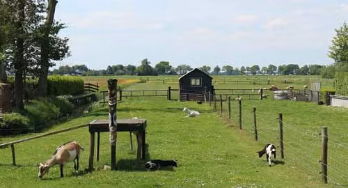 Mái nhà truyền thống ở đây được lợp bằng lớp tranh dày đến 3 - 4 tấc, rìa mái được tỉa tót kỹ lưỡng như cách các nhà quý tộc xưa chăm sóc hàng ria mép. Có những mái nhà rất cổ, phủ lên đó là những mảng rêu xanh và lớp bụi thời gian đẹp đến ma mị.