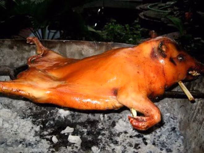 Heo Măng Đen quay Loại heo này được nuôi bằng thức ăn tự nhiên của núi rừng nên thịt săn chắc, thơm ngọt và rất bổ dưỡng. Heo được làm sạch lông, mổ lấy nội tạng, sau đó tẩm ướp gia vị là các loại nguyên liệu từ núi rừng Măng Đen như ủ nén, ngò gai, gốc mùi, sả, ớt. Heo quay nguyên con bằng lửa than cho đến khi căng da vàng giòn rộm, tỏa mùi thơm phưng phức.