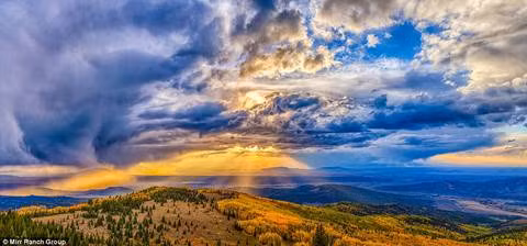 Denver Post dẫn lời ông Jeff Hubbard - nhà môi giới bất động sản cho hay, chủ sở hữu mới là người lý tưởng và là người bảo vệ và cam kết bảo tồn tài sản quốc gia, tài nguyên. Theo Ken Mirr - Giám đốc công ty rao bán trang trại cho hay, 1/3 đất của trang trại này không thể được sử dụng do thỏa thuận bảo tồn. Chủ nhân mới chắc chắn không sử dụng đến 1/3 đất này hoặc làm gì khác ngoài việc bảo tồn và duy trì.