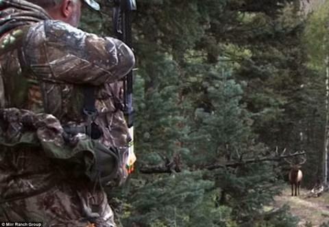 Công tác bảo tồn khu trang trại sẽ được chủ nhân mới đề cao sau khi mua.