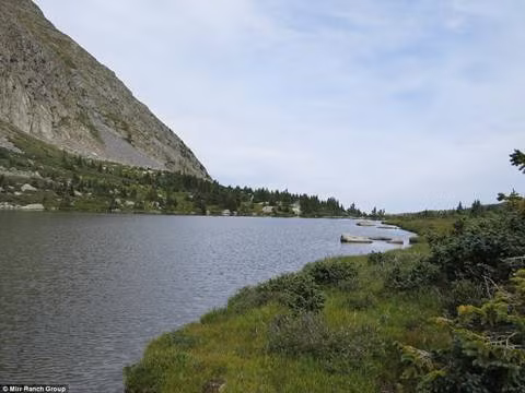 Nhánh sông nơi sinh sống của các loại cá hồi.