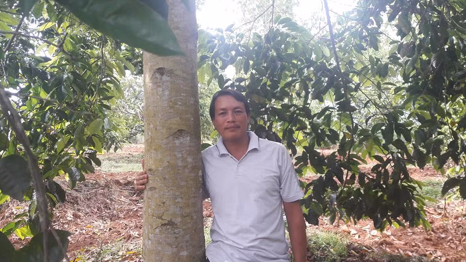 Trong "cot chong troi", moi cay doi cho thu 1 cay vang