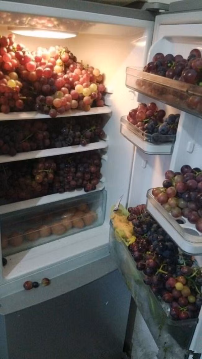 Bởi lẽ với những người này thì đam mê chỉ đơn giản là được sở hữu một chiếc tủ lạnh đầy ắp những món ăn ngon mà mình yêu thích.