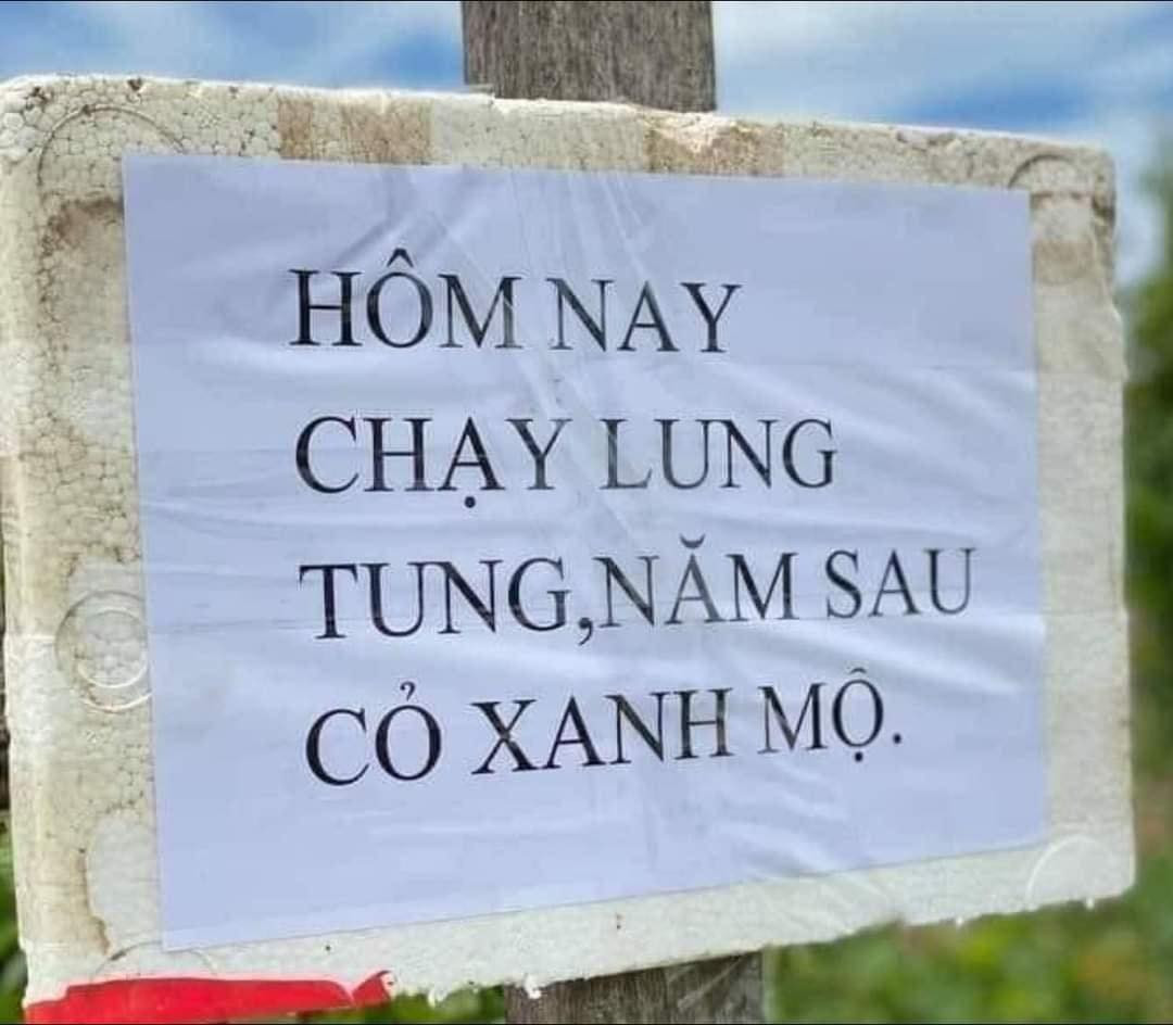 Các tờ giấy nhắc nhở như không ra ngoài khi không cần thiết, nhớ đeo khẩu trang được "nghệ thuật" hóa thành các câu thơ, câu ca dao. Ảnh: Duy Nguyên