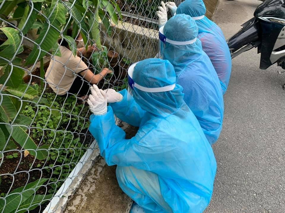 Theo đó, khi đang hỗ trợ điều phối lấy mẫu xét nghiệm, nhóm tình nguyện viên thấy một cô đang cắt rau trong vườn nhà liền chạy tới xin. Và sau đó nhóm này được cô chủ nhà cho khá nhiều loại rau khác nhau.