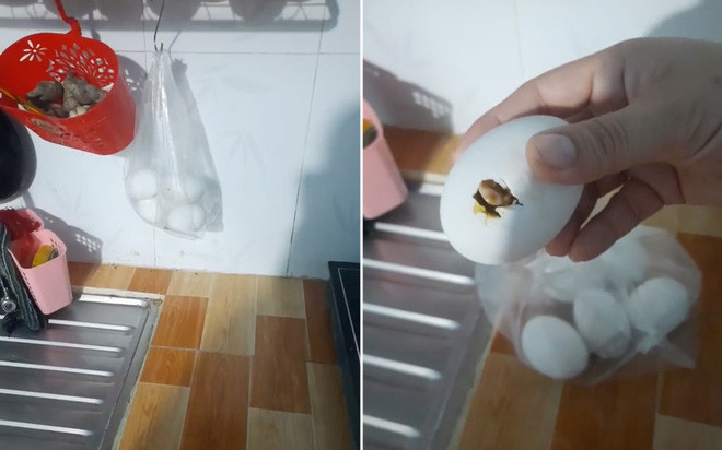 Sau khi chia sẻ lên MXH, màn tích trữ đồ ăn có một không hai này khiến cư dân mạng thích thú, nhiều người còn đưa ra lời khuyên không nên tích trữ thực phẩm mùa dịch quá nhiều, tránh hư hỏng và bỏ phí.