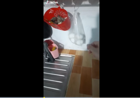 Mới đây, đoạn clip của 1 cô gái ghi lại cảnh rón rén đi xuống bếp lúc nửa đêm để kiểm tra túi đồ ăn tích trữ của mình đã thu hút sự chú ý của nhiều cư dân mạng.