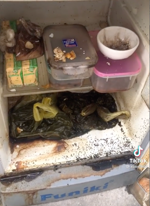 Được biết, nữ sinh này ban đầu định về quê ít ngày nhưng không ngờ là ở nhà nghỉ dịch lâu hơn tưởng tượng, đến khi lên lại thành phố thì cái tủ lạnh đã tan hoang như thế này.