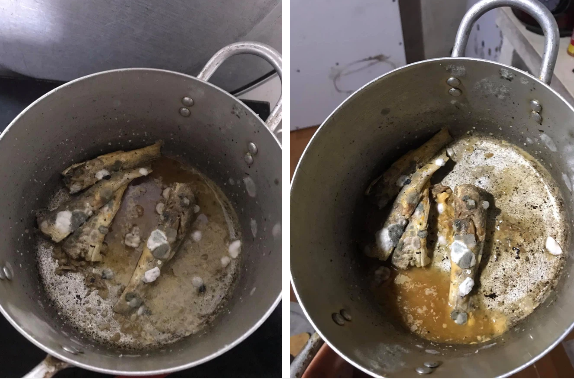 Trước đó, cũng có nhiều hình ảnh quên dọn dẹp khiến đồ ăn mốc meo, đặc biệt là các bạn sinh viên mỗi khi về quê dài ngày.