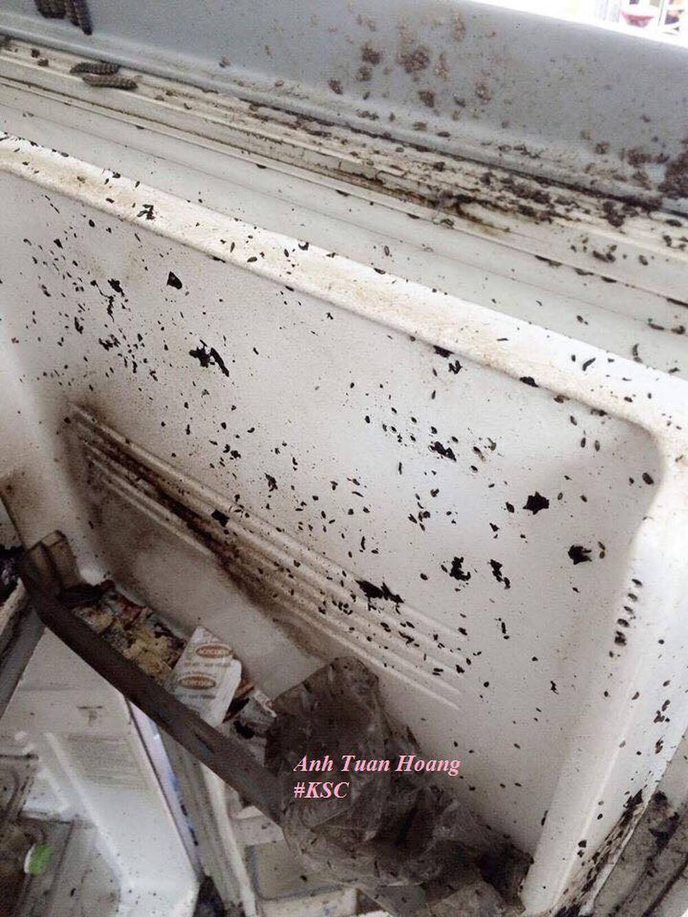 Tủ lạnh đã trở thành một đống đồng nát. Bên trong tủ, giòi rồi sâu bọ lúc nhúc, tạo nên một cảnh tượng vô cùng kinh khủng.