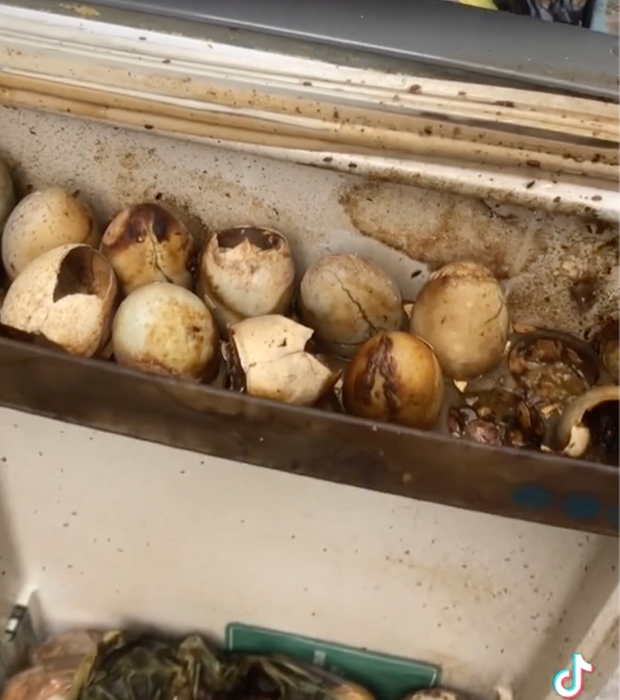 Theo đó, đoạn clip kéo dài 35 giây ghi lại cảnh tượng kinh hoàng là một chiếc tủ lạnh bốc mùi hôi thối, mốc meo, hàng loạt những đồ ăn vì để quá lâu đều đã bị phân huỷ, những quả trứng gà thậm chí còn đã tách bỏ, đổi sang màu thâm đen.