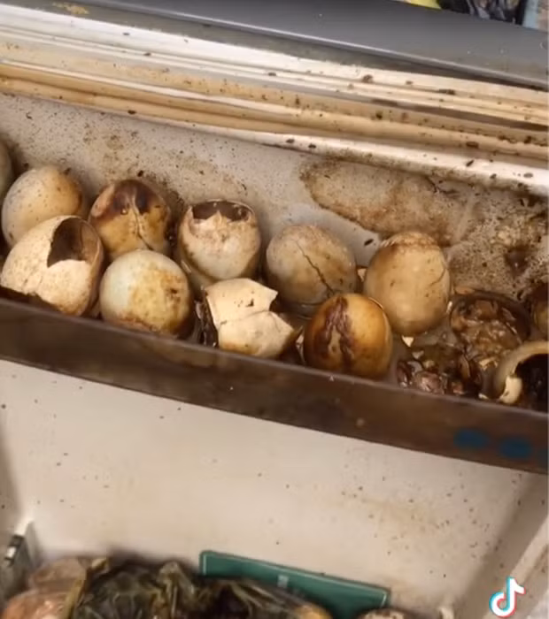 Theo đó, đoạn clip kéo dài 35 giây ghi lại cảnh tượng kinh hoàng là một chiếc tủ lạnh bốc mùi hôi thối, mốc meo, hàng loạt những đồ ăn vì để quá lâu đều đã bị phân huỷ, những quả trứng gà thậm chí còn đã tách bỏ, đổi sang màu thâm đen.