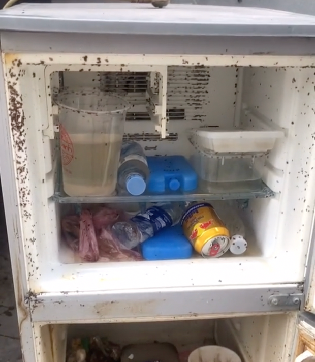 Chứng kiến cảnh tượng phòng trọ sinh viên trở thành "thảm hoạ" sau thời gian nghỉ dịch, cư dân mạng đã khuyên cô gái vứt luôn chiếc tủ lạnh đi vì nó đã quá bẩn và không thể sử dụng được nữa.