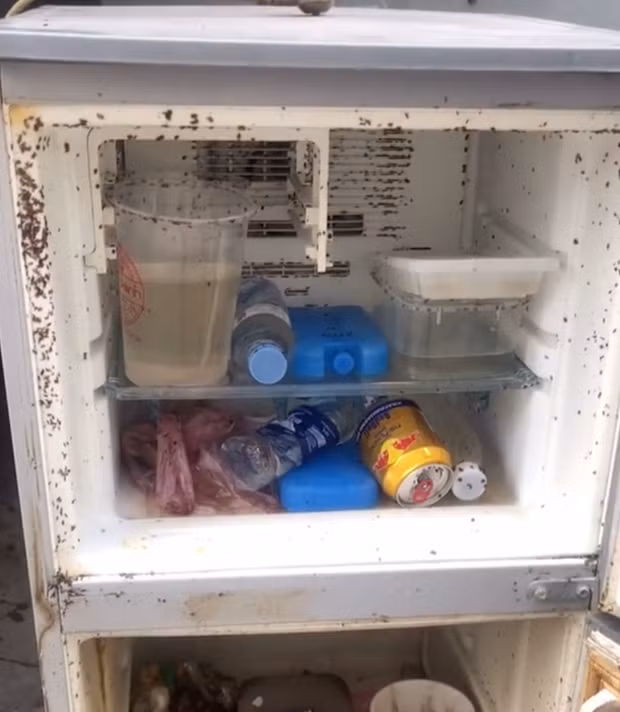 Chứng kiến cảnh tượng phòng trọ sinh viên trở thành "thảm hoạ" sau thời gian nghỉ dịch, cư dân mạng đã khuyên cô gái vứt luôn chiếc tủ lạnh đi vì nó đã quá bẩn và không thể sử dụng được nữa.