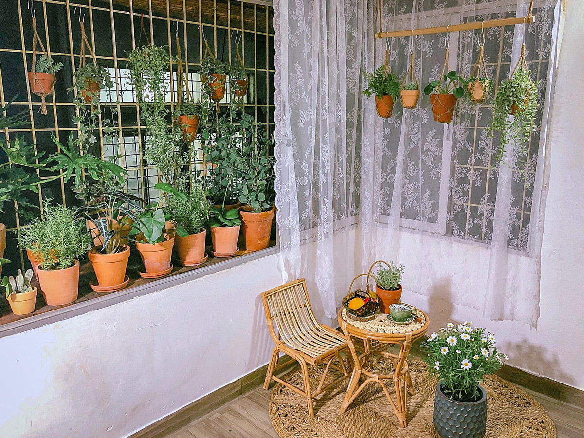 Chị Nghĩa còn tiết lộ, chi phí đầu tư cho khu vườn ban đầu chỉ khoảng 10 triệu để cải tạo ban công, nhưng sau đó mua thêm chậu, đất trồng, phân bón, giống cây... nên tăng lên không ít.